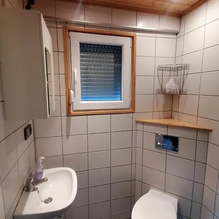 Fala - Do Wynajecia Zagórze Śląskie