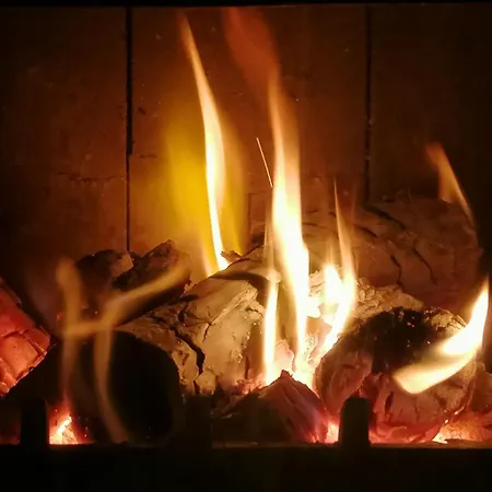 Fala - Do Wynajecia * Zagórze Śląskie