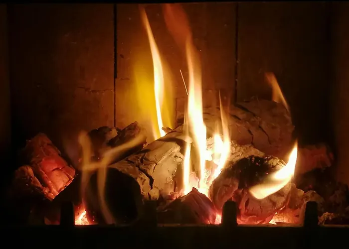 Fala - Do Wynajecia * Zagórze Śląskie